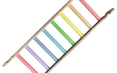 Junior Ladder Pastel Rainbow